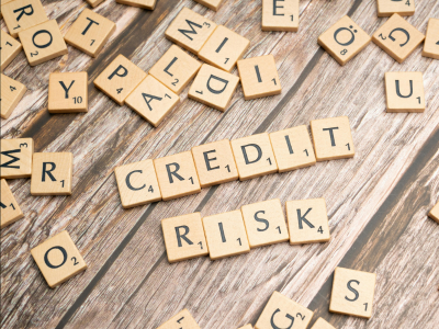 credit and risk management